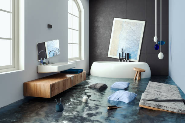 Best Flood damage cleanup  in Collins, MS