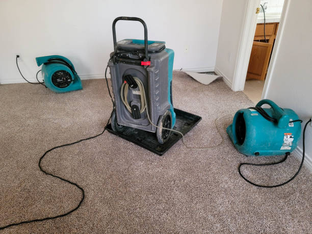 Water damage restoration experts in MS