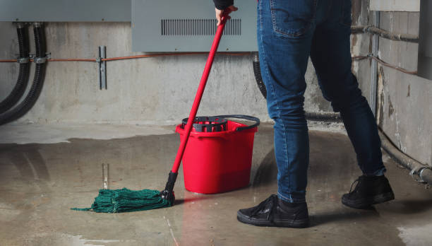 Best Flood damage cleanup  in Collins, MS