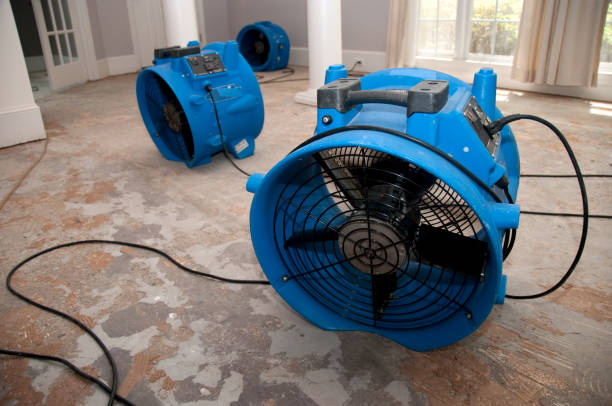 Carpet water damage restoration in MS