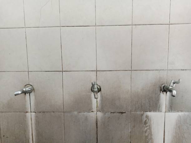 Best Ceiling water damage repair  in Collins, MS