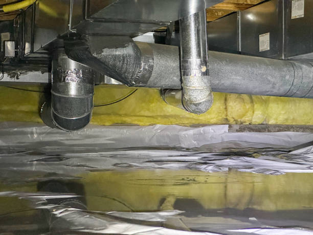 Best Flood restoration services  in Collins, MS