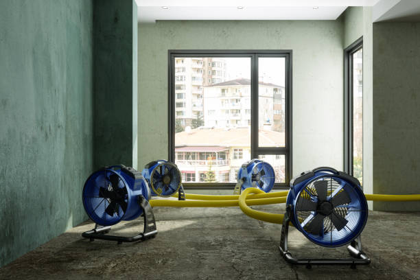 Best Commercial water damage restoration  in Collins, MS